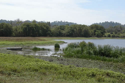Cat Tien National Park photo for article about study planned for Javan rhinos in Vietnam.