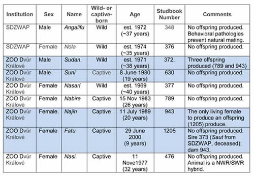 Population table showing Northern white rhinos.
