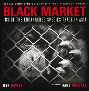 Book image for Black Market: Inside the Endangered Species Trade in Asia by Ben Davies
