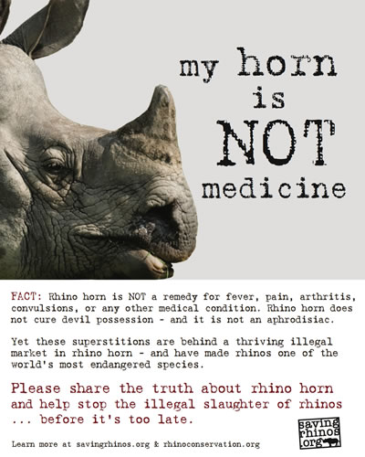 My Horn is NOT Medicine rhino poaching awareness poster featuring Indian rhino.
