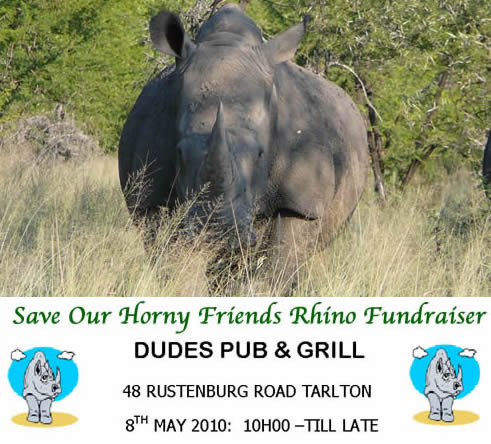 Rhino Fundraiser by Save Our Horny Friends at Dudes Pub in Tarlton South Africa
