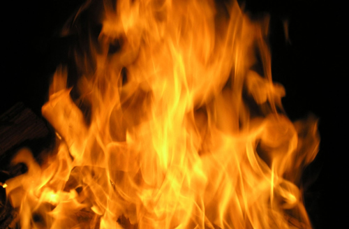 Fire image for support of public rhino horn burning in Assam
