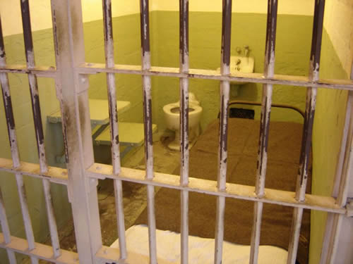 Chinese court sentences TCM practitioner to 12 years in prison for smuggling rhino horn
