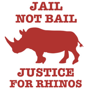 Rhino horn syndicate news Dawie Groenewald veterinarians Karel Toet and Manie du Plessis in court on April 11 to face charges of corruption and racketeering