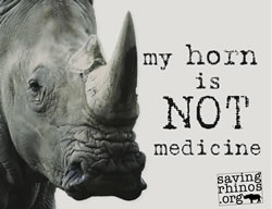 Rhino Horn is Not Medicine graphic by Saving Rhinos LLC