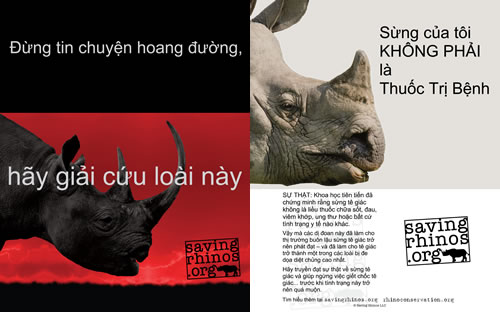 Rhino horn is not medicine translated into Vietnamese