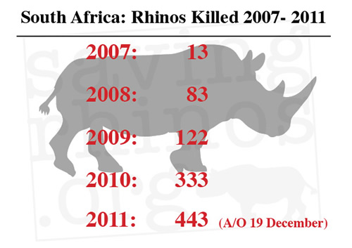 443 rhinos killed in South Africa for 2011 by December 19