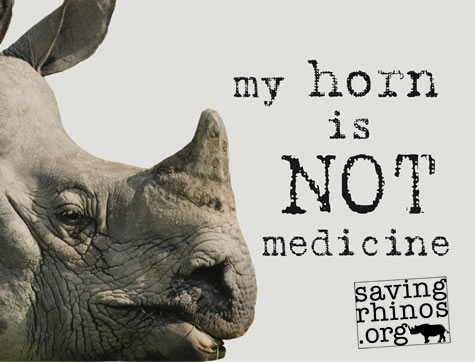 Rhino horn is NOT medicine