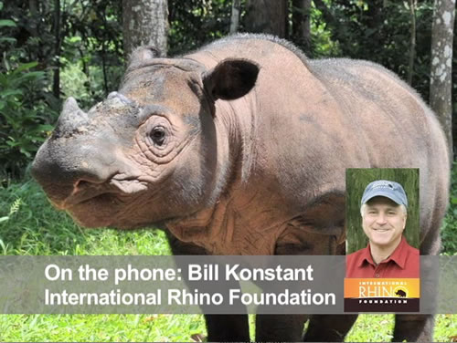 State of the Sumatran Rhino with Bill Konstant IRF